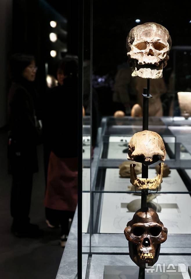 [서울=뉴시스] 김명년 기자 = 14일 오전 서울 용산구 국립중앙박물관에서 ‘선사 고대관 개편’ 언론공개회가 진행되고 있다. 국립중앙박물관은 1층 상설전시 중 구석기실, 신석기실, 청동기실, 고조선부여삼한실, 고구려실 개편하고 어린이를 위한 '배움 공간'도 조성했다. 2025.02.14. kmn@newsis.com