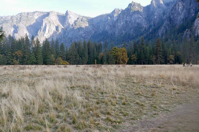 KakaoTalk_20250215_175842825_02.jpg [여행기]44일간 미국여행 13 / 요세미티