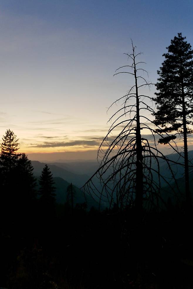 KakaoTalk_20250215_175842825_06.jpg [여행기]44일간 미국여행 13 / 요세미티