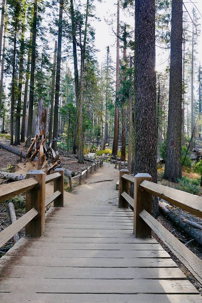 KakaoTalk_20250215_191144736.jpg [여행기]44일간 미국여행 14 / 요세미티