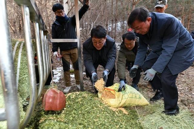 ▲ 국가유산청 최응천 청장 등이 지난 14일 양구 산양 서식처에서 먹이 지원 활동을 하고 있다. 사진/국가유산청 제공