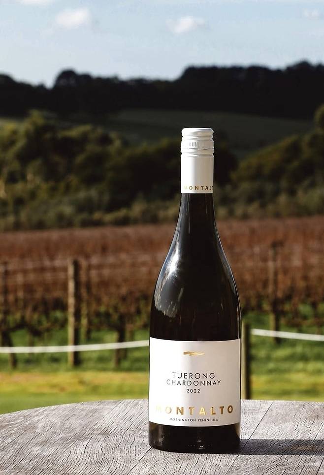 몬탈토 싱글 빈야드 투롱 샤르도네.&nbsp; 인스타그램