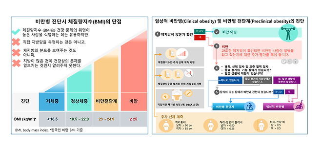 비만명 진단시 BMI 단점 및 임상적 비만병, 비만병 전단계의 진단