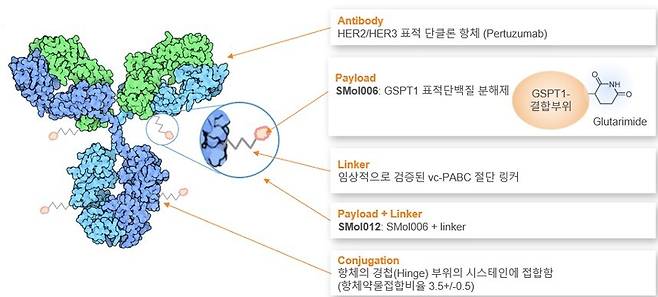 오름테라퓨틱이 개발 중인 단백질분해제항체접합체(TDC) 'ORM-5029' 모식도.(오름테라퓨틱 제공)/뉴스1