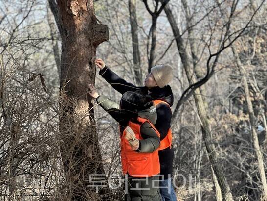 볼런투어 '야생 조류 먹이주기' 활동 모습/사진-고양시