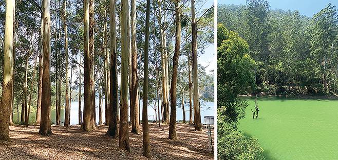 해발 1,700미터에 위치한 매투패티 호수와 숲 산책로