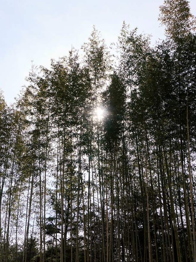 098ef376b58369ff2095e69236ef203eff5a0e832192e0cc61