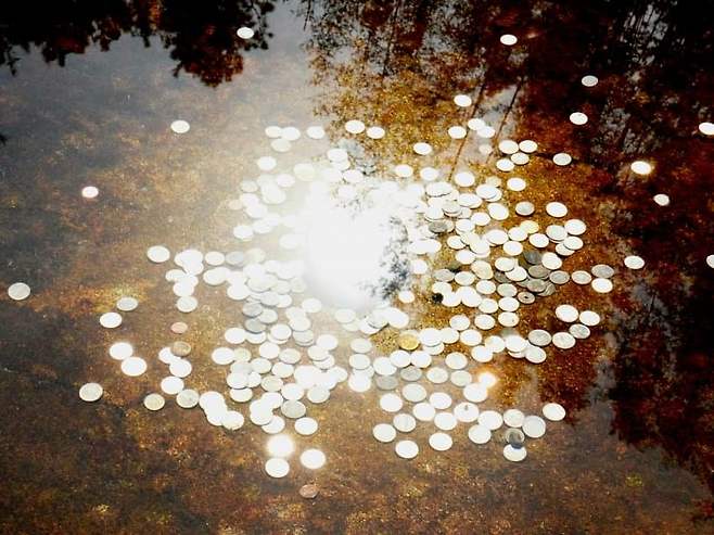 098ef376b5836af52095e69236ef203e2058a24c9689af669b