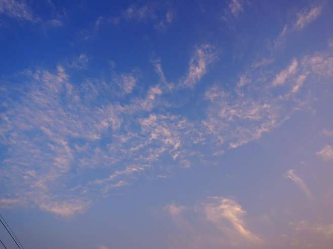 098ef376b58068ff2095e69236ef203e5e0a4e166a043e6496