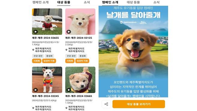 유기 동물 입양 전문기관 포인핸드 앱