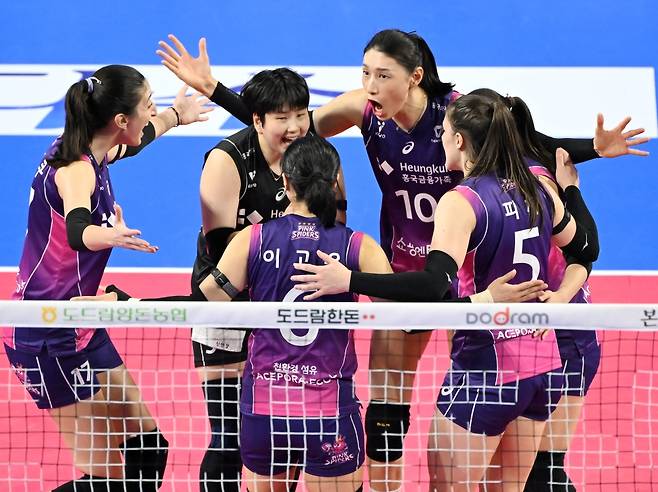 16일 오후 화성실내체육관에서 열린 도드람 2024-2025 V-리그 여자부 5라운드 IBK기업은행과 흥국생명의 경기, 흥국생명이 세트스코어 3:0(25-23 25-12 25-20)으로 승리하면서 9연승을 질주했다. 흥국생명 선수들이 득점 후 기뻐하고 있다. KOVO