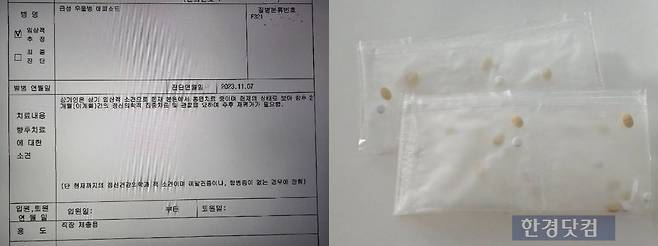 A씨의 진단서와 약 사진/사진=유지희 기자