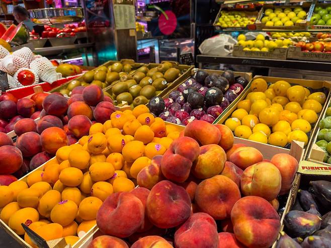 [재탕 스압] 바르셀로나 and 마드리드