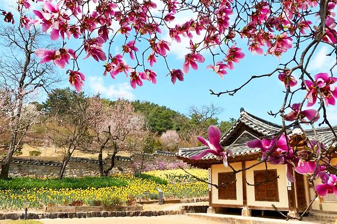예산 추산고택 봄의 모습