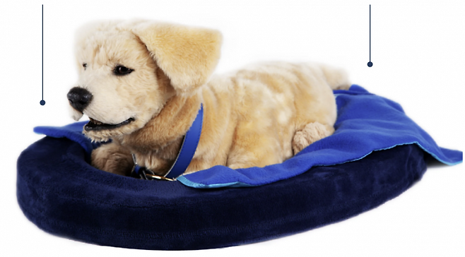 미국 '톰봇' 사의 돌봄로봇 '제니'. 톰봇 홈페이지 캡처