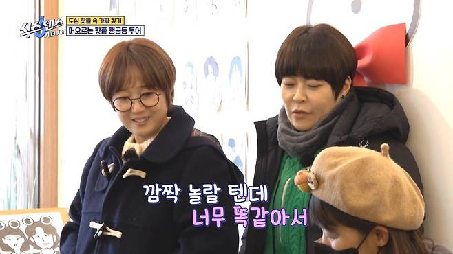 식스센스) 수원 화성 캐리커쳐 매장 수준 ㄷㄷ...jpg