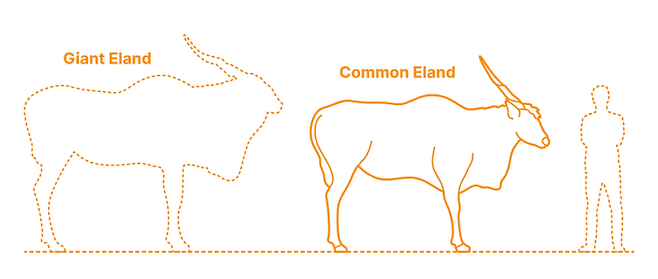 29b4de29a88068f43bef84e7479c756eb9560121a743389081d12a37fce78c74c5d456d9b4dcf7c98752c31b2f28