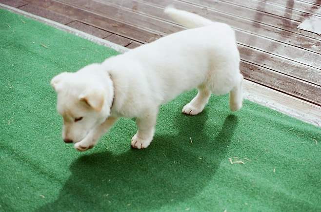 24b0d121e09c32b6699fe8b115ef046e2f72cfb37492