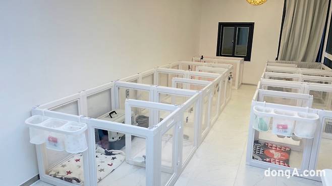 (사진=포캣멍센터 제공.)