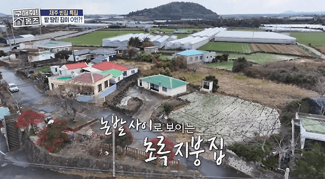 가장 글을 잘 쓰는 사람에게 집을 1년간 무료로 임대해 줍니다.