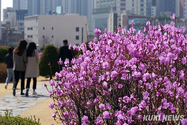 한 대학 학생들이 교정을 거닐고 있다. 사진은 기사와 직접 관련이 없습니다. 사진=박효상 기자