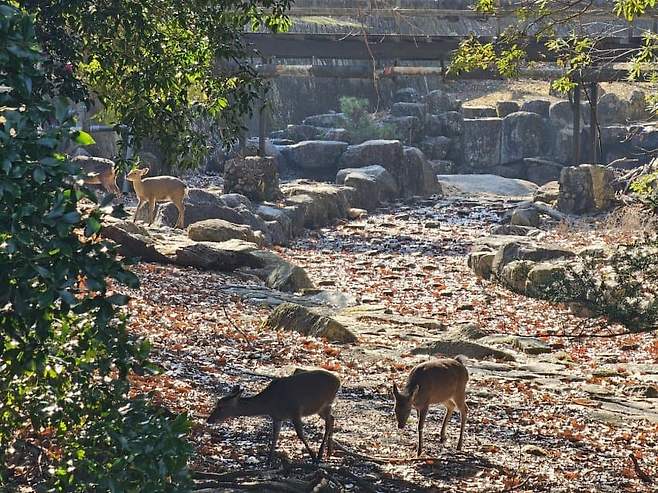 7fed8273b5836af751ee87e442817373c21cfb316071fba02797f5cf06840bf8