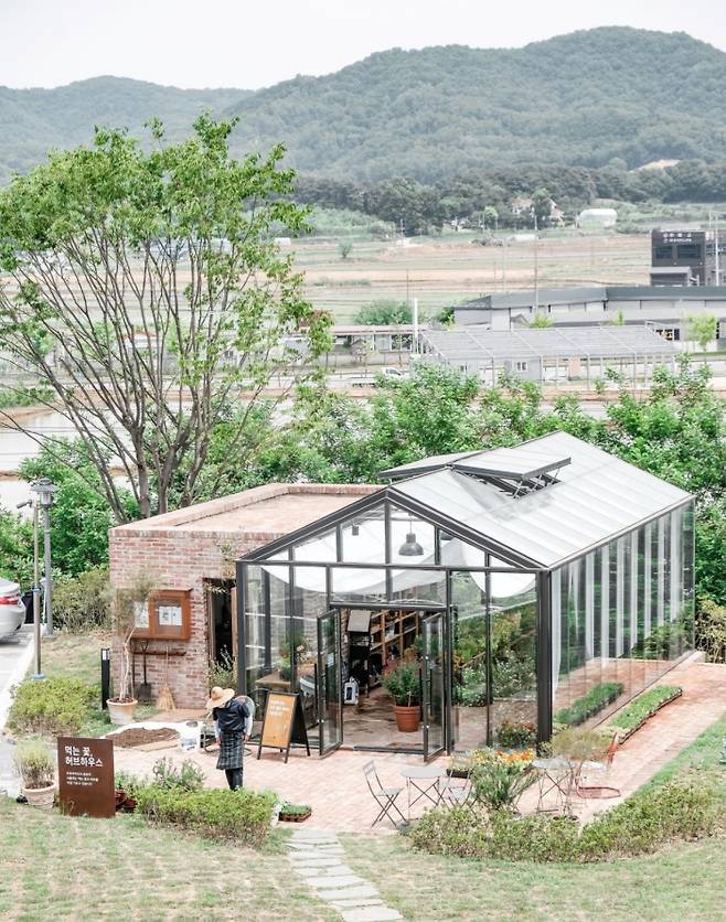 먹는꽃허브하우스. 뚜쥬루 제공