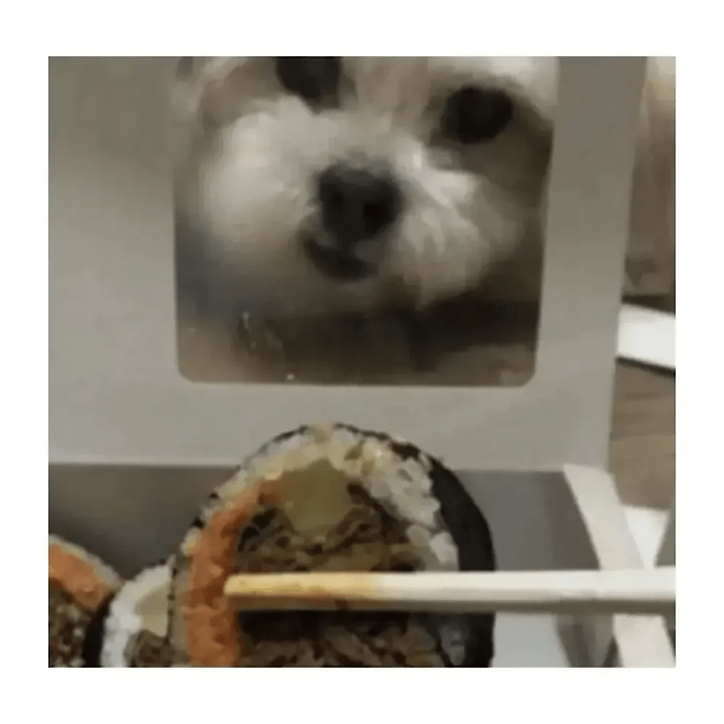 image.png 김밥 포장용기 대참사