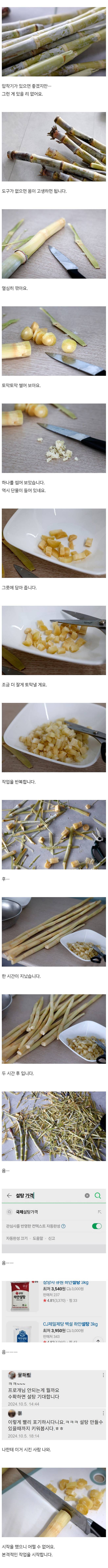 sug3.jpg 집에서 키운 사탕수수로 설탕을 만드는 드루이드