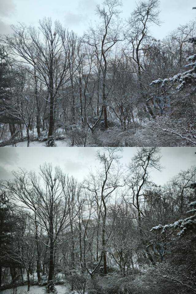 샤오미 14T를 활용해 '라이카 바이브런트'와 '어센틱' 모드를 곧바로 이어 촬영해 본 풍경 모습. 인현우 기자