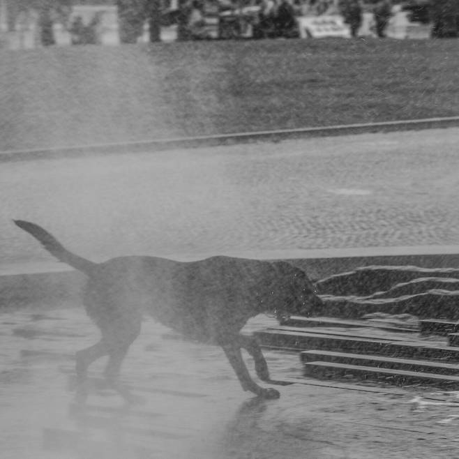 MOOK-241006-23.jpg 베를린 여행 사진