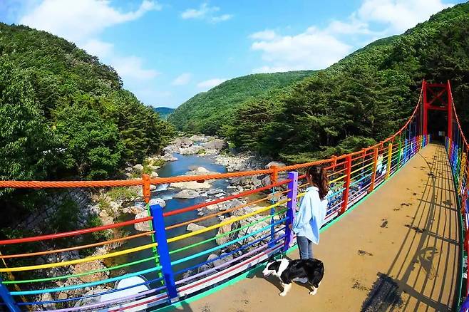 진안고원길 산책길 다리