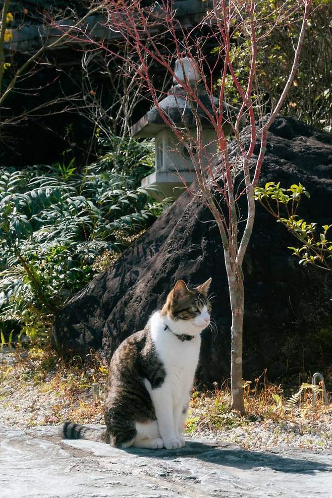 098ef319b58361f620b5c6b236ef203e296d1fda072148d023