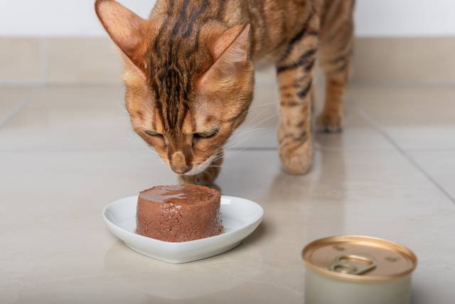 사진은 기사의 특정 내용과 관련 없음. 게티이미지뱅크