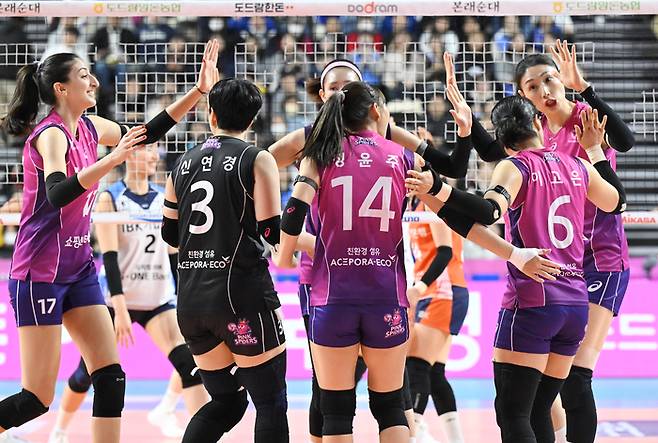 사진 | 한국배구연맹