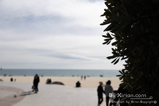 IMG_6797.jpg 부산 그랜드 조선 아리아 뷔페