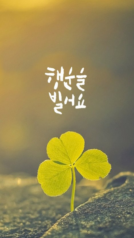 하루종일 행운가득한 하루 되세요^^