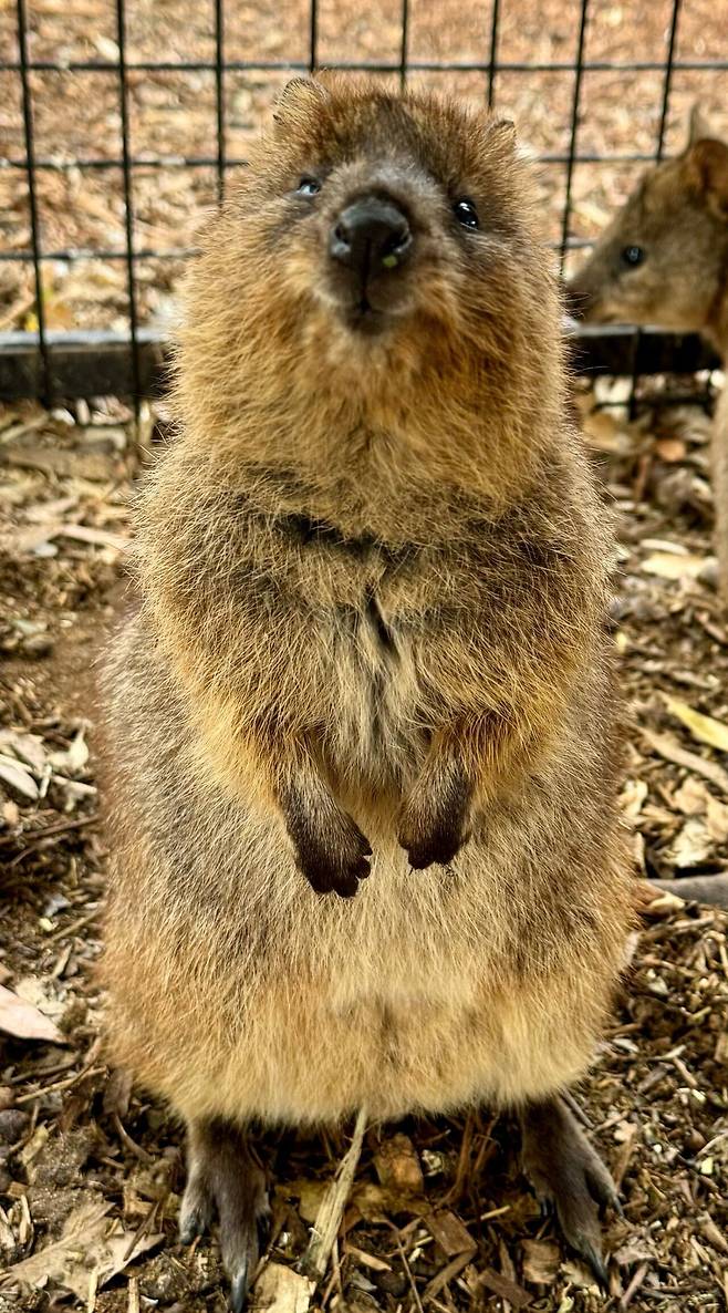 KakaoTalk_20231226_204024356.jpg [닉값여행] 시드니 6박8일 여행 1부 음식편 (스압주의) [닉값여행] 시드니 6박8일 여행 1부 음식편 (스압주의)