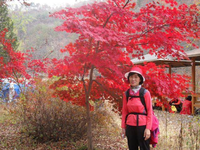 기증자 권태숙씨의 생전 모습. 한국장기조직기증원 제공