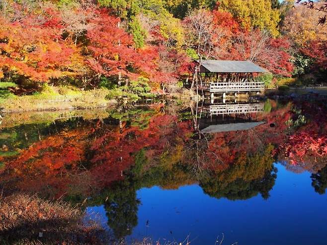 7cef8172b6846ff036ea83b314857d69b75051150a93fb9ee98cd4008d9bd0f04227303ce275be