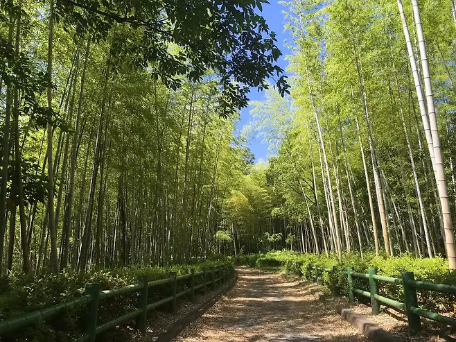 7ce88272b2866ff020a8d3b706f11a39c82504c7e0acd9d844