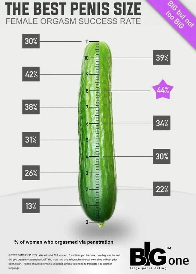 서양 여자가 선호하는 남자의 성기 크기