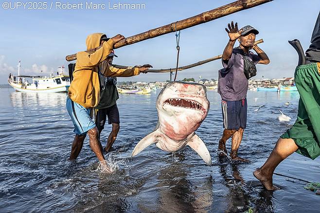 사진작가 로버트 마크 레만(Robert Marc Lehmann)이 촬영한 UPY 2025년 수상작 ‘2억분의 1’. UPY 홈페이지 갈무리]