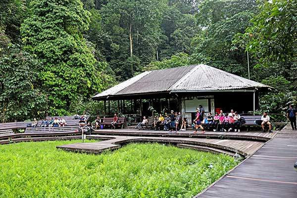 박쥐 떼를 구경하기 위해 모인 사람들. 이 시간이 되면 일반인은 동굴 안으로 들어갈 수 없다.
