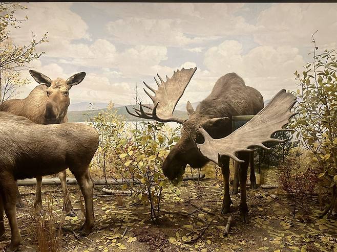 KakaoTalk_20250228_234930796_01.jpg [여행기]44일간 미국여행 28 / 시카고