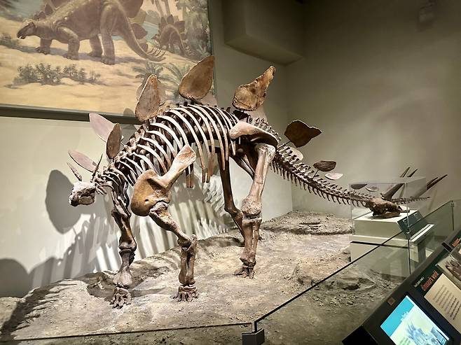 KakaoTalk_20250228_234912482.jpg [여행기]44일간 미국여행 28 / 시카고