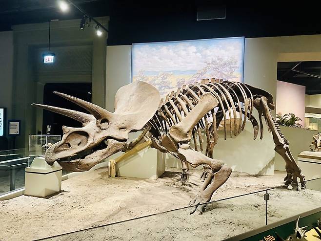 KakaoTalk_20250301_005819822.jpg [여행기]44일간 미국여행 28 / 시카고