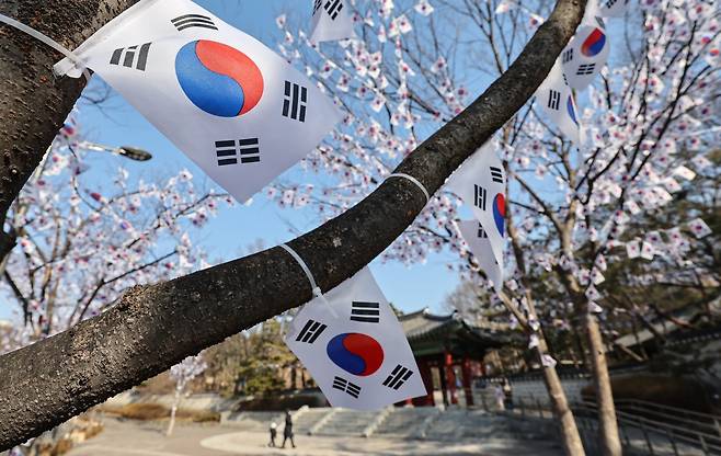 서울 용산구 효창공원에 태극기 거리가 조성돼 있다. 사진=뉴스1