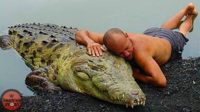 유튜브 채널 '눈나믿지?'가 올린 '은혜 갚은 야생동물들 1-2' 시리즈는 편당 평균 조회수 800만회를 넘어서며 화제를 모았다. /유튜브 채널 '눈나믿지?' 영상 캡쳐