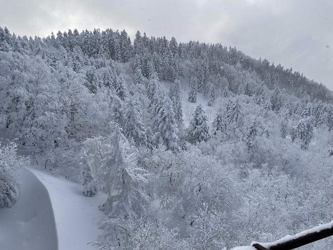 0490f719b3856ffe20b5c6b236ef203eca1660c5c36668f0a1